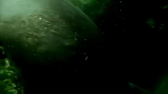 Жак-Ив Кусто́ . смотреть онлайн