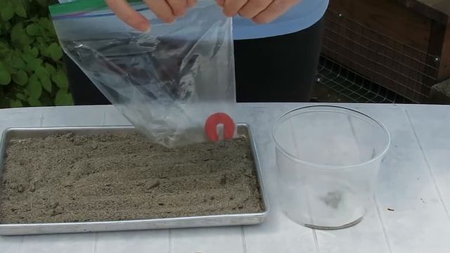 Magnetic Sand - Moments with Mother Nature смотреть онлайн
