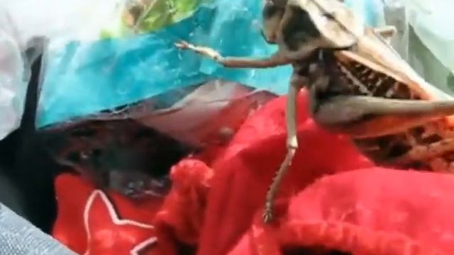 Монстр смотреть онлайн