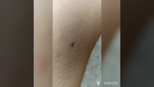 Что это за мутант??? смотреть онлайн