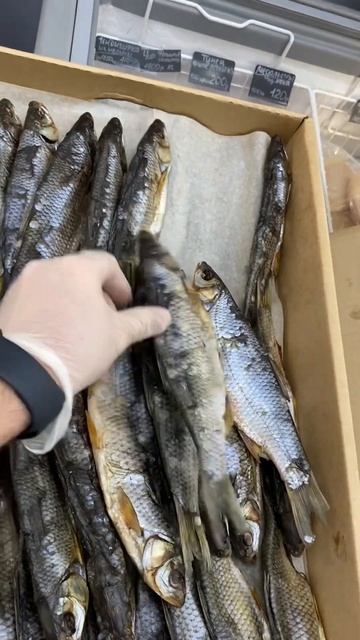 ЧЕБАК Колымский вяленый!