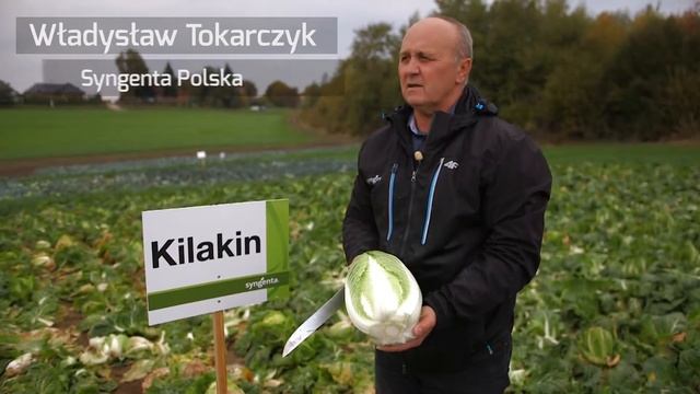 Kapusta Kilakin смотреть онлайн