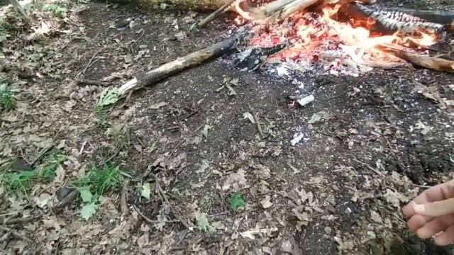 УГОСТИЛИ ЧЕРЕШНЕЙ. ПЕЧЁНАЯ КАРТОШКА. ЕМ ГУМАНИТАРКУ В ЛЕСУ