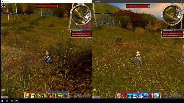 Guild Wars - Charm Black Bear in pre Searing (Any/R) [2man] *NERFED* смотреть онлайн