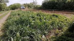 МТЗ-80 с фрезой. Пахота.