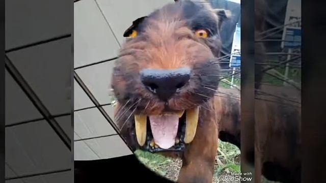 V pravěku смотреть онлайн