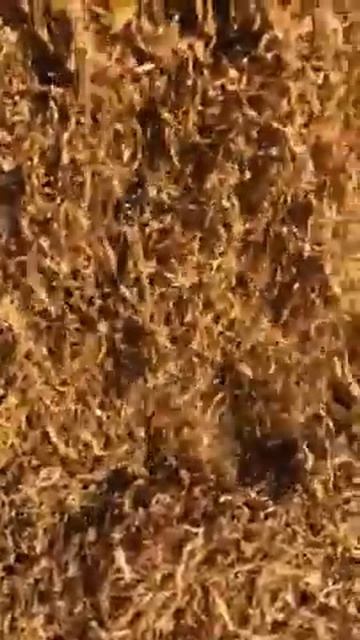 Качественный фабричный табак смотреть онлайн