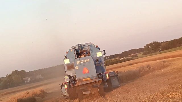 żniwa wielkopolskie Stankowo 2021 bizon z058 смотреть онлайн