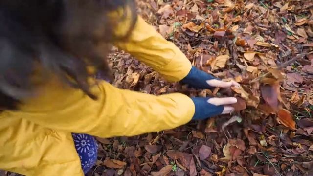 Осеннее мгновение смотреть онлайн