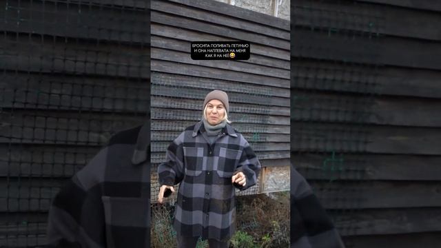 Не бойтесь сажать петуньи в большие кашпо. Многие сорта любят большие объёмы-тайдал, изивейв,пандор смотреть онлайн