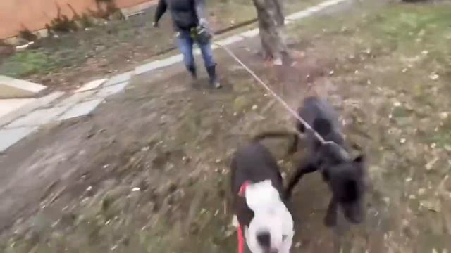 Truffle and Ora LT смотреть онлайн