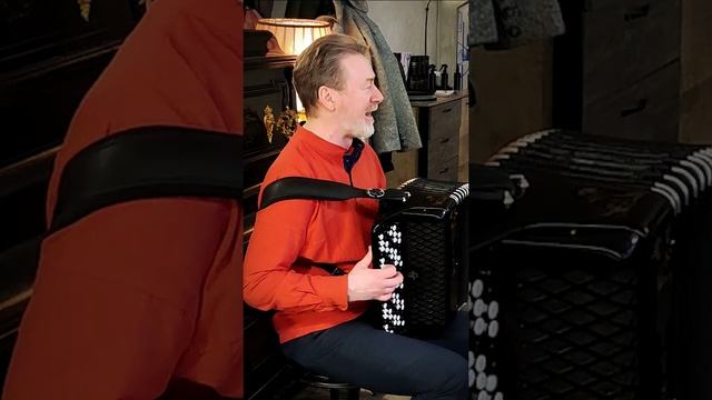 Песня друзей Бременские музыканты #баянист смотреть онлайн