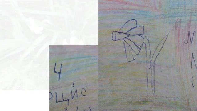 Садовые растения смотреть онлайн