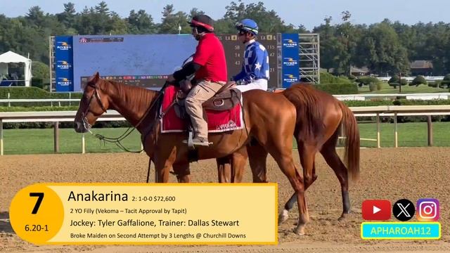 Top 2-Year-Old Filly Wins for Fun in 2024 Adirondack Stakes смотреть онлайн
