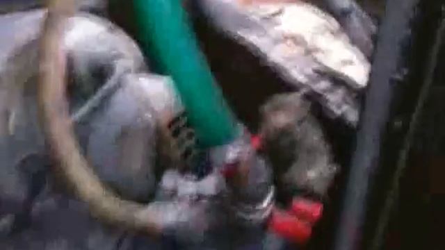 колосниковый подвод шебуршилка xvid смотреть онлайн