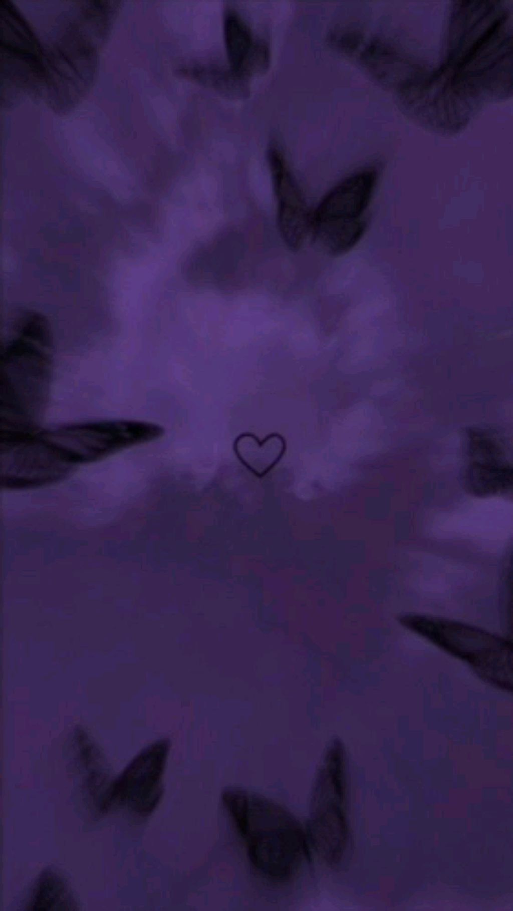 ночной эфир