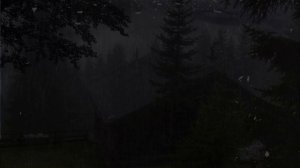 Звуки дождя ночью в туманном лесу 🌙 Мгновенный глубокий сон и избавление от бессонницы