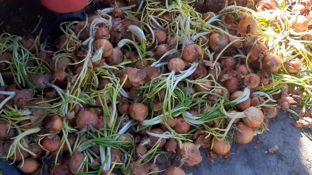 Я нахожусь в станции Коксу