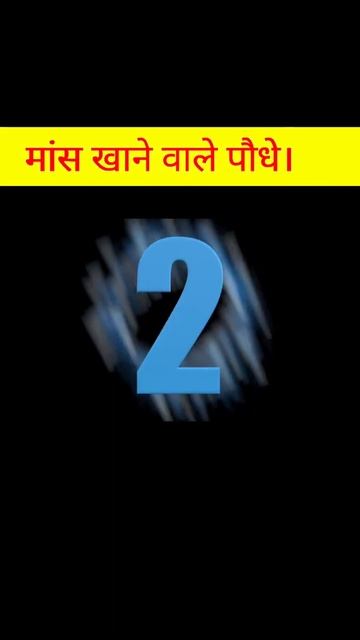 ये है मांस खाने वाले पौधे।😨😱#shorts#youtube смотреть онлайн