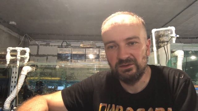 Разведение аквариумных рыб г.Владивосток. Презентация смотреть онлайн