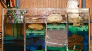 Внутренний фильтр для аквариума своими руками Компонент биологической очистки.