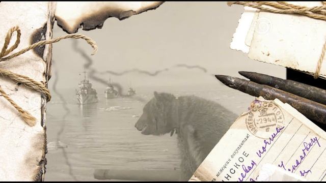 Письмо 2_Акция "Пылающий адрес войны" смотреть онлайн