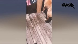 МГНОВЕННАЯ КАРМА