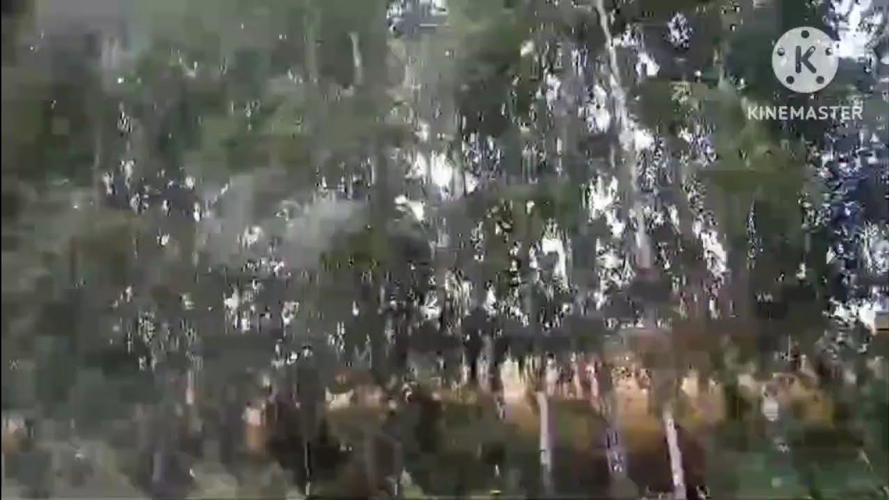 мы родились в сибири//срочно в номер//обзор канала смотреть онлайн