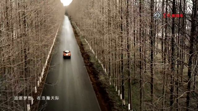 《品质篇》东风风神 смотреть онлайн