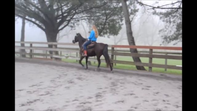 'Smoke' and Melissa March 1, 2015 смотреть онлайн