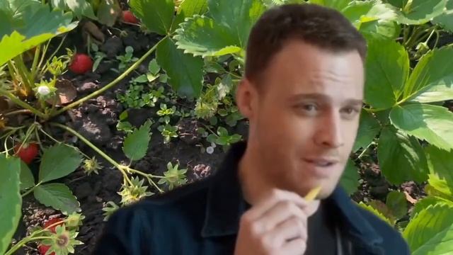 А якщо сильно покохаєш (Если ты сильно любишь) 2 серія. Турецькі серіали на українській мові | Огля смотреть онлайн