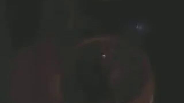 Решил снимать моего хомяка смотреть онлайн