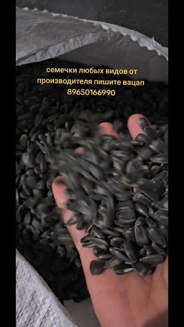 Семечки Калиброваные , оптом в ВЫБОРГЕ  крупная, не жареные  и среднии и для птиц .Объемы любые.