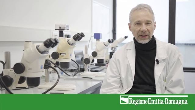 Popillia Japonica, un organismo da quarantena a rischio di introduzione in Emilia-Romagna смотреть онлайн