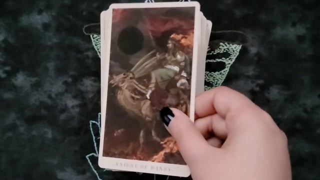 The 2022 Terra Volatile and Expansion - First Impressions and HD Flip Through смотреть онлайн