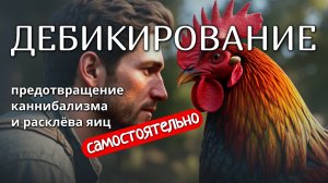 Как самостоятельно провести процедуру дебикирования (подрезания клюва) у кур