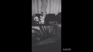 фиолетовый гопник гигантская какаха переозвучка лунтик камыш