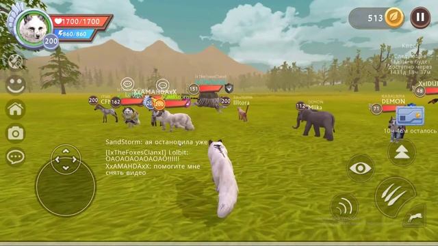 Исполнилась моя мечта - WildClub в WildCraft. Сколько стоят скины и одежда в WildClub.