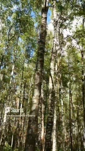 Я любила сокола😇Куртукова, 2014г смотреть онлайн