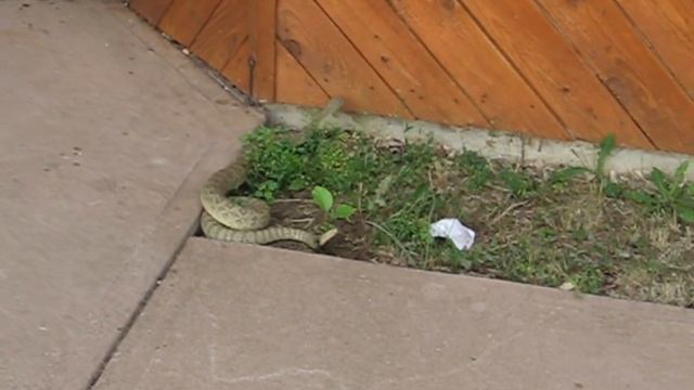 July 1 to July 5, 2006 Tara and Dave's Trip out West Part 1 of 2 (video snippets 1 of 2) смотреть онлайн