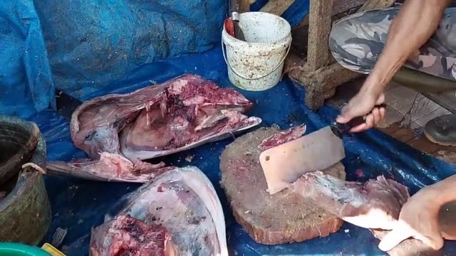 Fish Head Hunting!!Serunya Berburu Kepala Ikan Akhirnya Dapat BIG SIZE!!!I смотреть онлайн