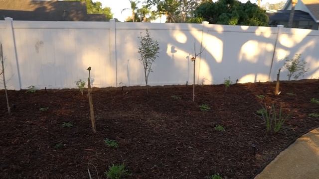 "Follow the Yellow Brick Road”- A Dreamy Backyard Food-Forest Project смотреть онлайн