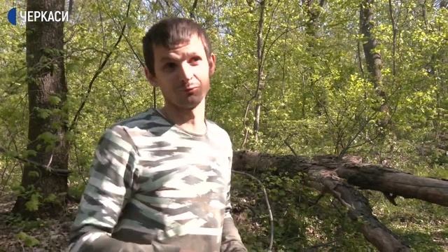 Тисячолітній дуб Залізняка обробили від шкідників та хвороб смотреть онлайн