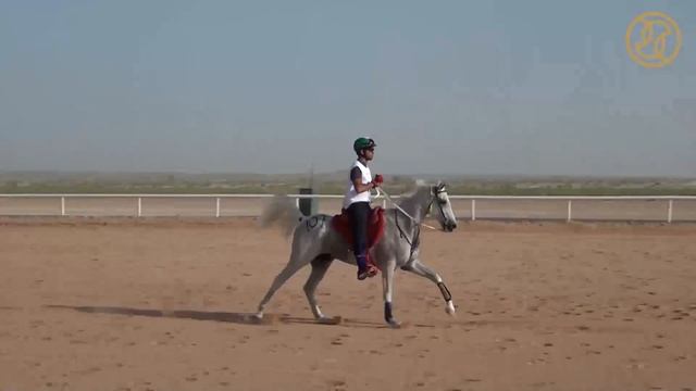 لقطات من ترايثلون دبي الصحراوي Dubai Desert Triathlon смотреть онлайн