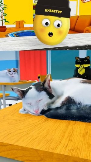 Помни собака в школе кошек!  #shorts #цифровойцирк