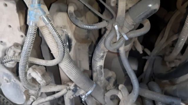 КАВЗ 4238 НЕ ЗАВОДИТСЯ ВЕСНА 2021