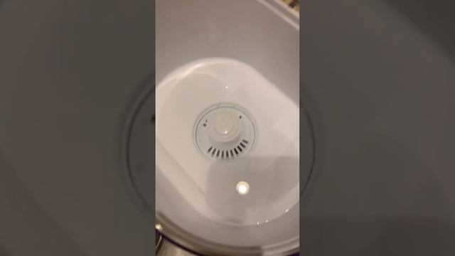 Brita Pitcher: water filter change & RESET Light. - SCOTT TALKS: смотреть онлайн