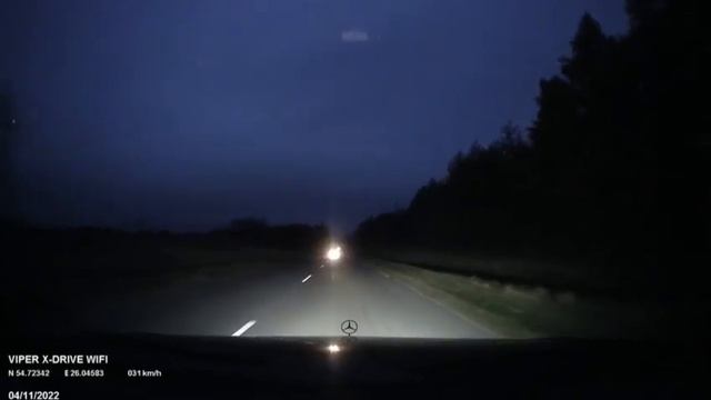 Животные на дороге. смотреть онлайн