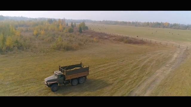 Уборка подсолнуха Тойбохой 2020 смотреть онлайн