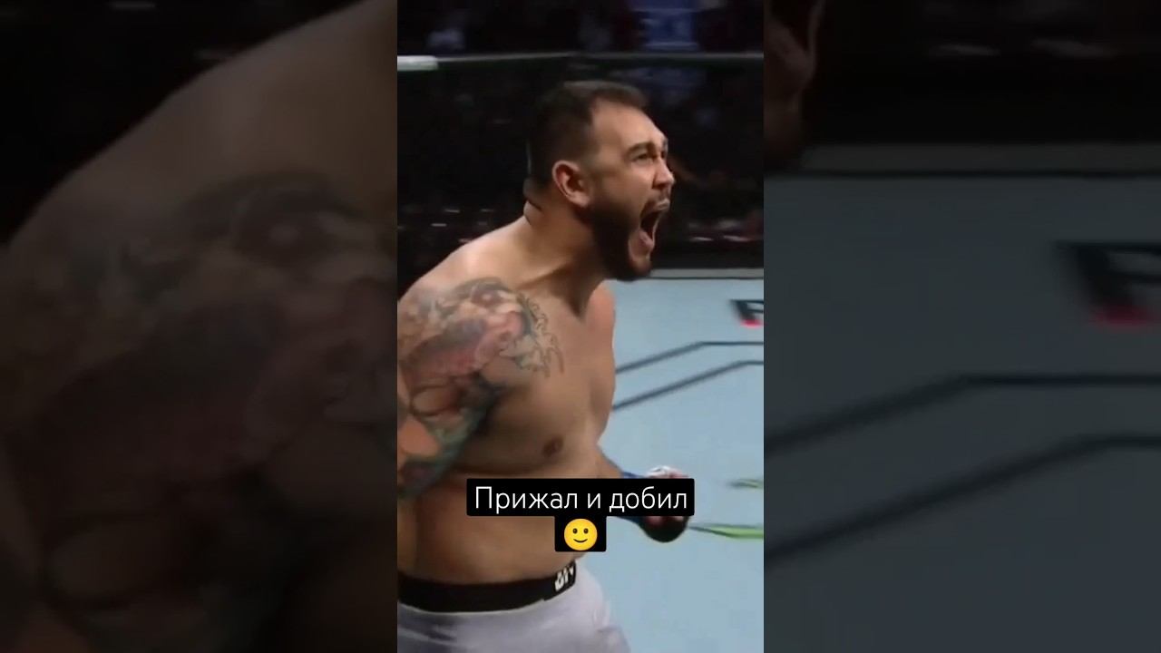 Реальные нокауты в UFC №14 смотреть онлайн